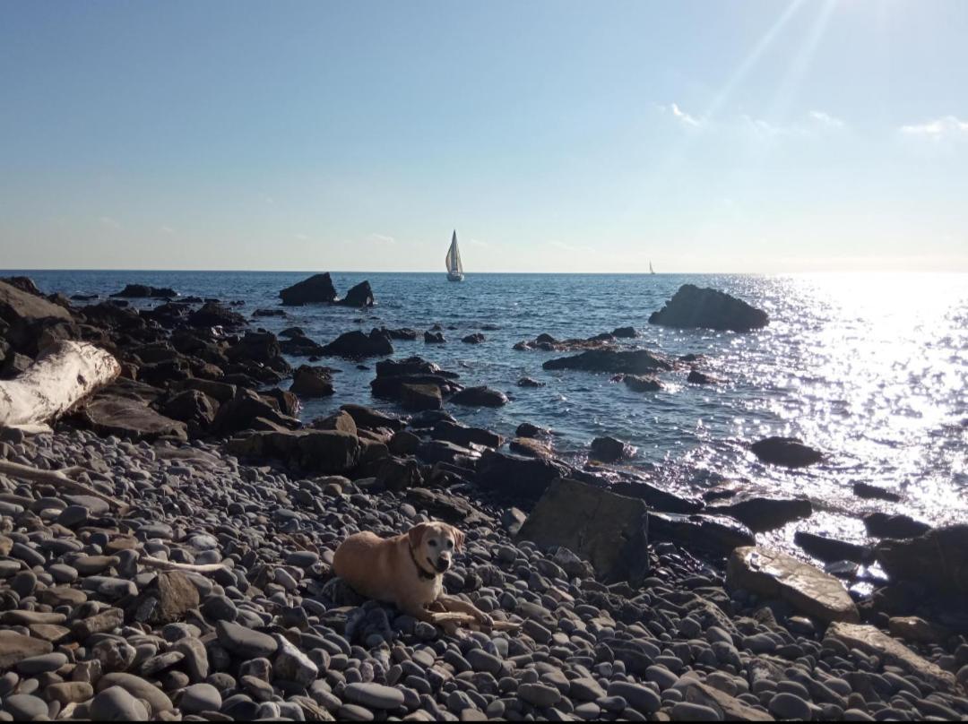 Cluxury-Torre Dei Saraceni Boutique Apt By The Sea Beach, Pool,Private Jacuzzi, Parking Cervo Bagian luar foto